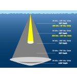 P66 Transom Mounted Triducer - 000-13919-001 P66 Transom Mounted Triducer - 000-13919-001