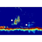 Raymarine CP470 CHIRP Digital Sonar Module - E70298 Raymarine CP470 CHIRP Digital Sonar Module - E70298